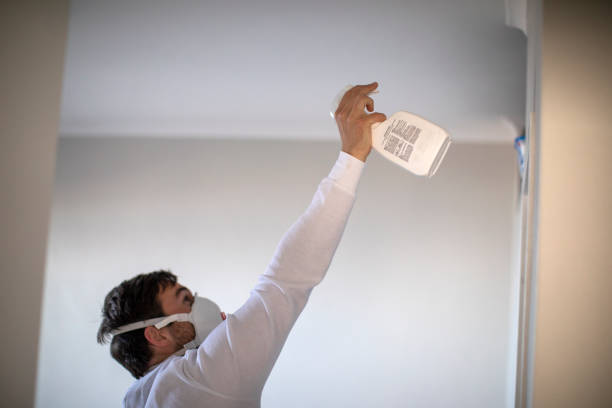Best Industrial Mold Remediation in Versailles, KY