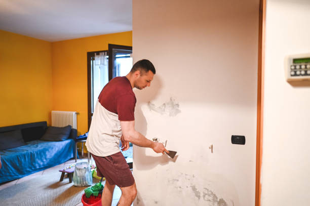 Best Insurance-Related Mold Remediation in Versailles, KY